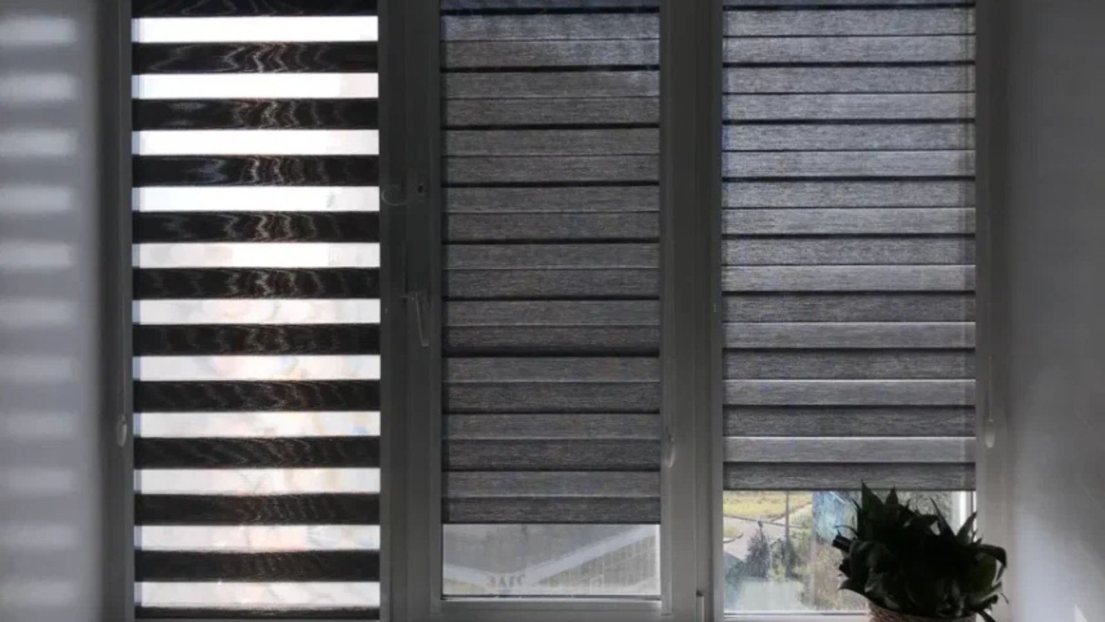 Zebra Blinds