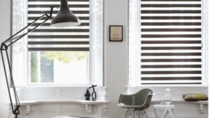 Zebra Blinds